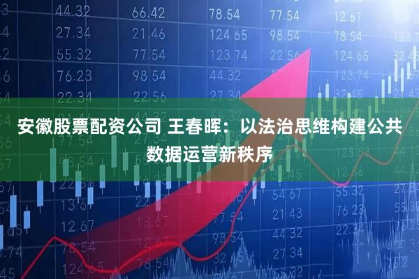 安徽股票配资公司 王春晖：以法治思维构建公共数据运营新秩序