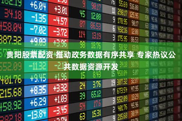 贵阳股票配资 推动政务数据有序共享 专家热议公共数据资源开发