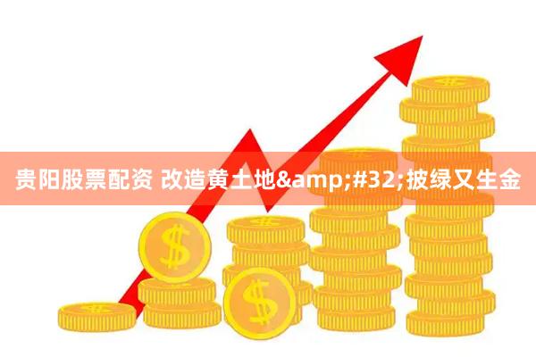 贵阳股票配资 改造黄土地&#32;披绿又生金
